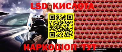 гидропоника Сланцы