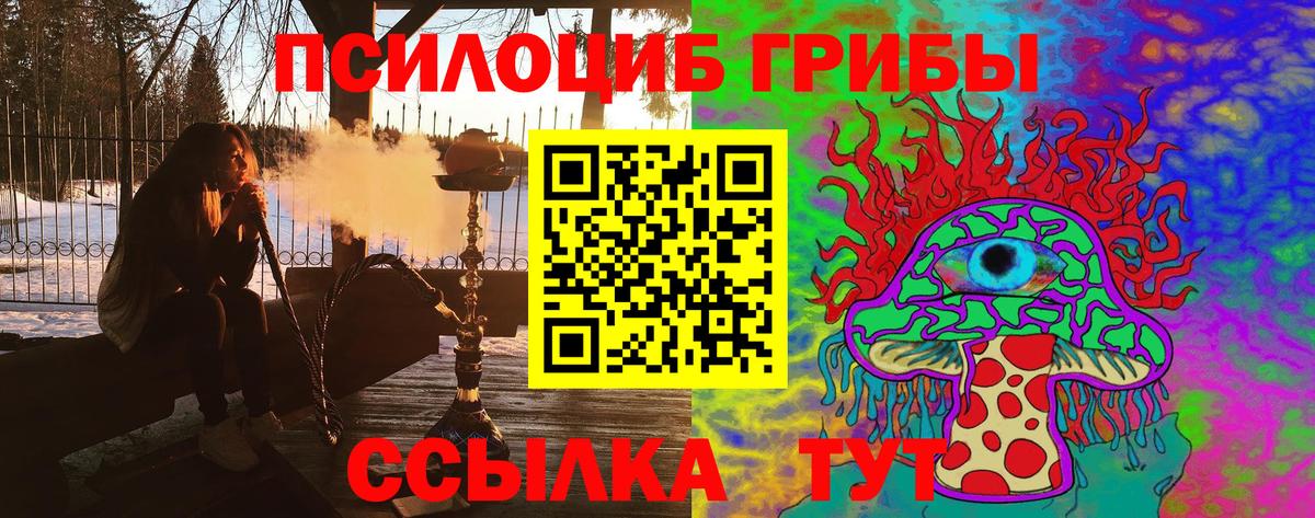 Галлюциногенные грибы прущие грибы Новозыбков